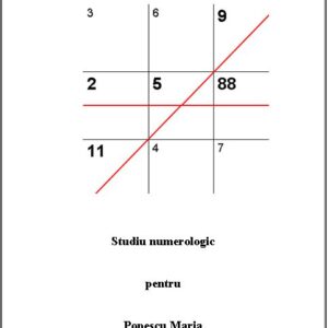 Studiu de numerologie - Numerogramă